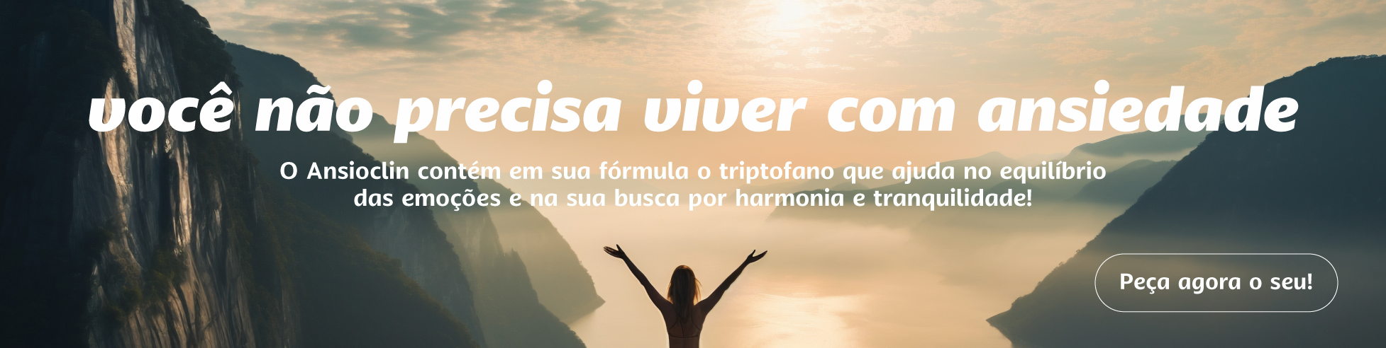 banner ansioclin